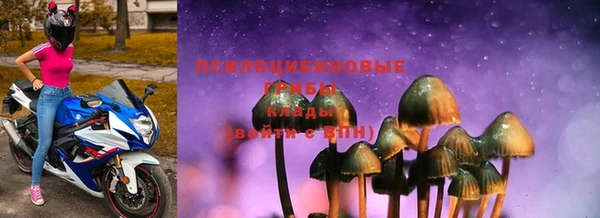 мдпв Киреевск