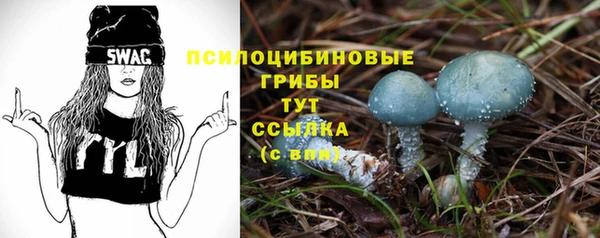 дмт Кодинск